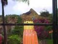 videos de VOLCANO EXPRESS!!!