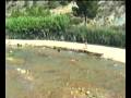 videos de Ángel  López Miñano (Abarán) 5ª Parte Alcalá del Júcar, Albacete Ruta Turística Castilla La Mancha