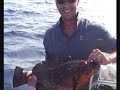 Vertical Jigging Stretto di Messina
