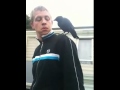 Mon pote se fait voler son spliff par un oiseau !!...
