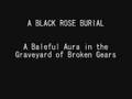 A BLACK ROSE BURIAL