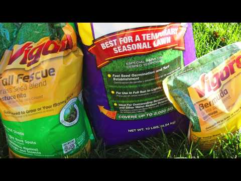 how to fertilize centipede lawn