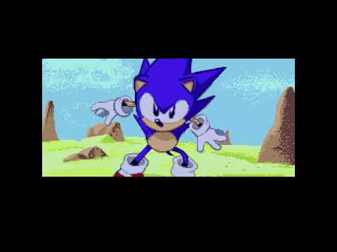 動画
