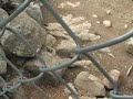 Estes Park Arial Tram