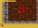 Tibia - Arena Svagrond