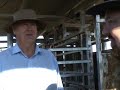 AI on a dairy farm AI on a dairy farm