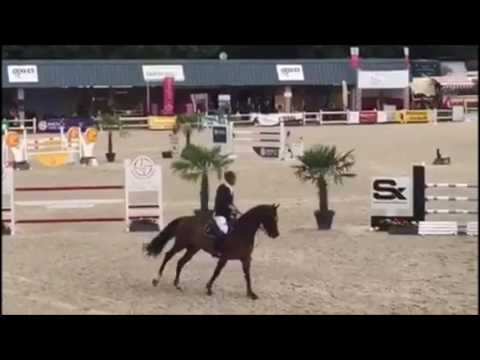 VODKA DE HUS 6 Y-O CHAMPIONSHIPS I GESVES AUGUST 2016