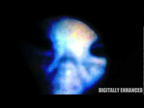 MEXICAN E.T. CONTACTEE: Incredible Photos And Detailed Commentary
