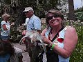 Western Carribean Cruise on Carnival Conquest 2008