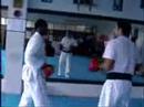Combat Training for self defense, Power strikes and more