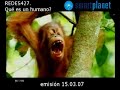 ¿qué es un humano?