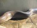 To megalitero fidi tou kosmou !!!!! World biggest snake !!!