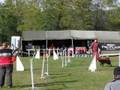 Agility Trbovlje 08 - Grom - j3