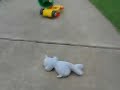 Daredevil Hippo to the xtr3me