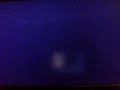 Amar Otra Vez