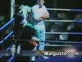 boxeador torpe / clumsy boxer