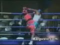boxeador torpe / clumsy boxer