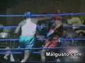 boxeador torpe / clumsy boxer