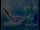 2D graphic