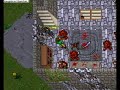 Tibia Refugia - Dark Tower Hunt.