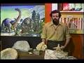 Invertebrate Fossils - Lesson 16 - Part 6 of 7
