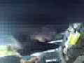 teletubie en olifant aan het vla happen