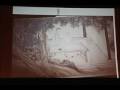 The Elegant Gathering: Art, Politics, and Collecting in... Manele-Gratis.net