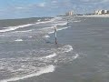 A Chilly Day at Pier 60 Clearwater Beach by Leiza Halsey