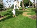 capoeira