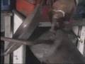 small column gasifier with catalytic converter burner