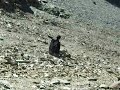 descente de pierrier  à la grande lauziere.