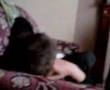 cunny getin his eyebrows burned