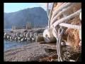 videos de Bartok Rumunian Dance