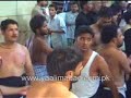 Halab, Zehra Teri Lehad Par