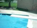 Diana Jumping in the pool Diana Jumping in the pool