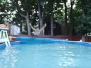 Pool Trampoline Jumps