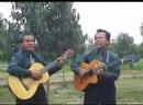 carinito.flv