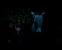 Time Travel - scenari turistici futuri -