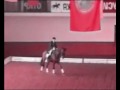 ~*~*Dressage Music Video-UNTOUCHED*~*~ (contest entrant)