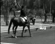 ~*~*Dressage Music Video-UNTOUCHED*~*~ (contest entrant)