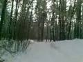 Snowboarding with the car (trailer) Snowboarding with the car (trailer)