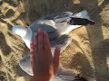 greece08 145.avi