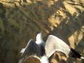 videos de greece08 145.avi