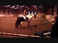 Demonstration of Dressage and Schooling to Music, Moor Farm Equestrian Centre. Part 1 of 4