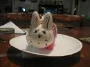 My Newest Creation. My Newest Creation.