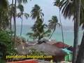 Video 2 Punta Cana Periodismo