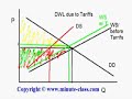 Dead Weight Loss due to Tariffs