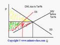 Dead Weight Loss due to Tariffs