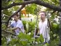 OUCH, slapped by a tree