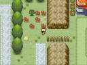 Shiny Gold: Rock Tunnel